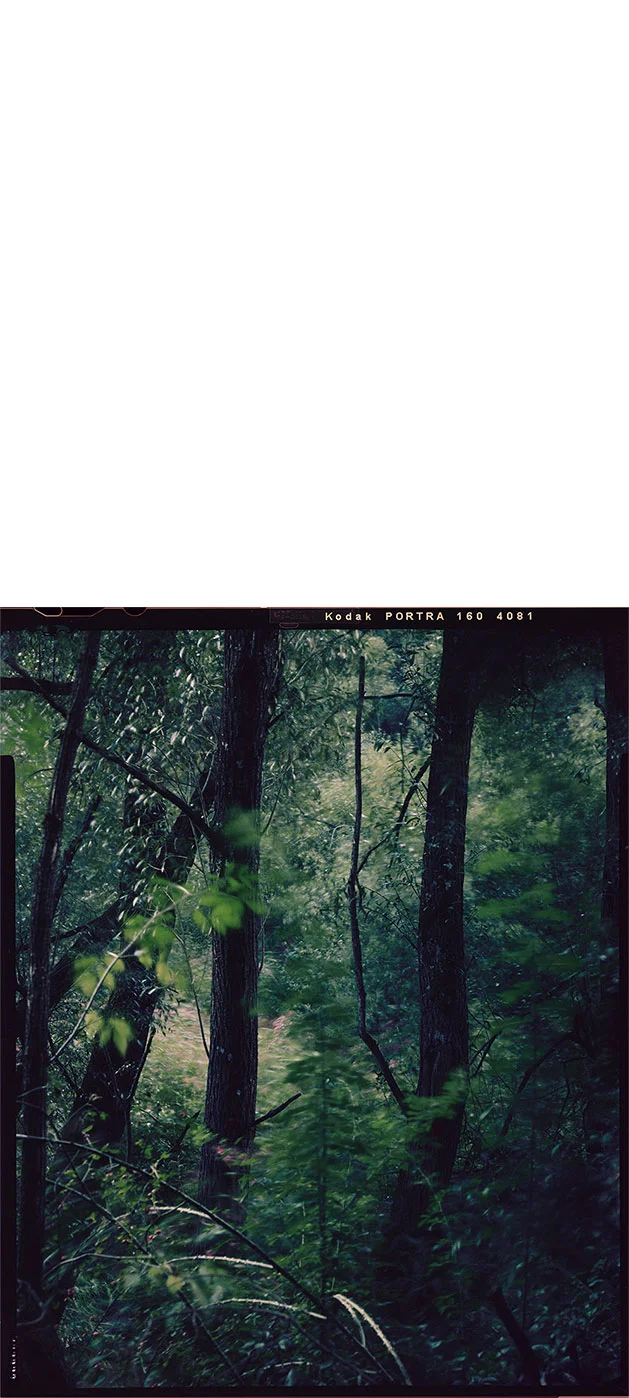 24 Stunden Belichtung | 24 hour exposure, analoger | analogue C-Print