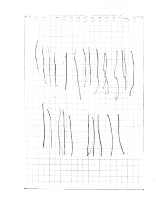 20091226T170000-0500 66 / 31224,40 km