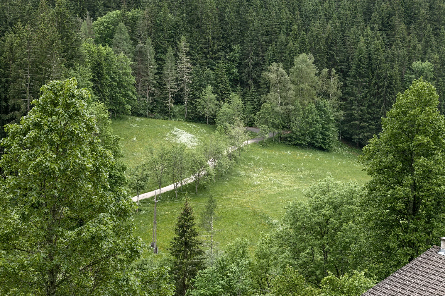 Nicole Six und Paul Petritsch, Flurnamen (Pečnikov travnik/Pečnik-Wiese) © Bildrecht, 2023
