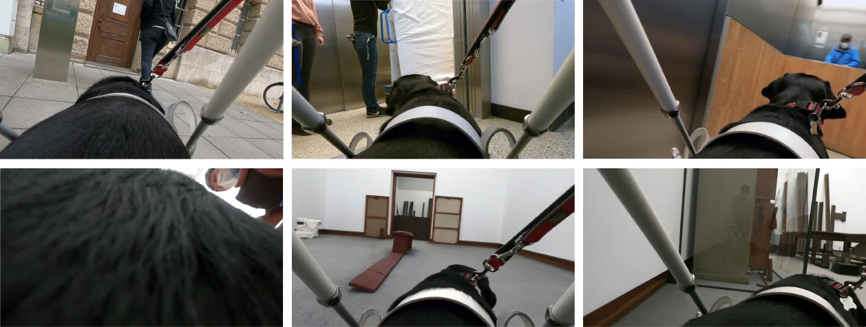 Filmstills, Video Roxy, 2021