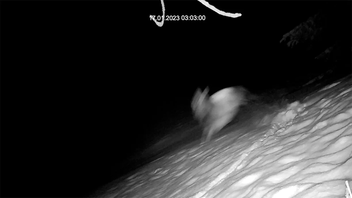 Nicole Six und Paul Petritsch, 05.01.2023 (Pečnikov travnik/Pečnik-Wiese) © Bildrecht, 2023