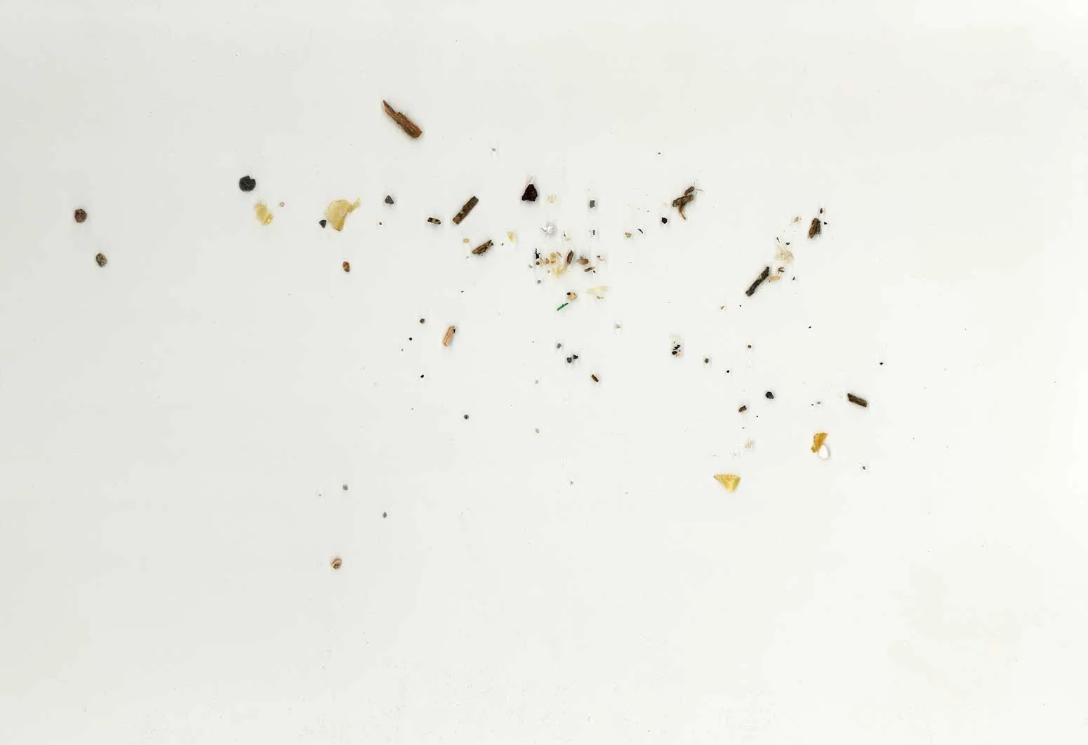 Detail, Lascaux – Parallel Worlds | Paralelle Welten, 2020