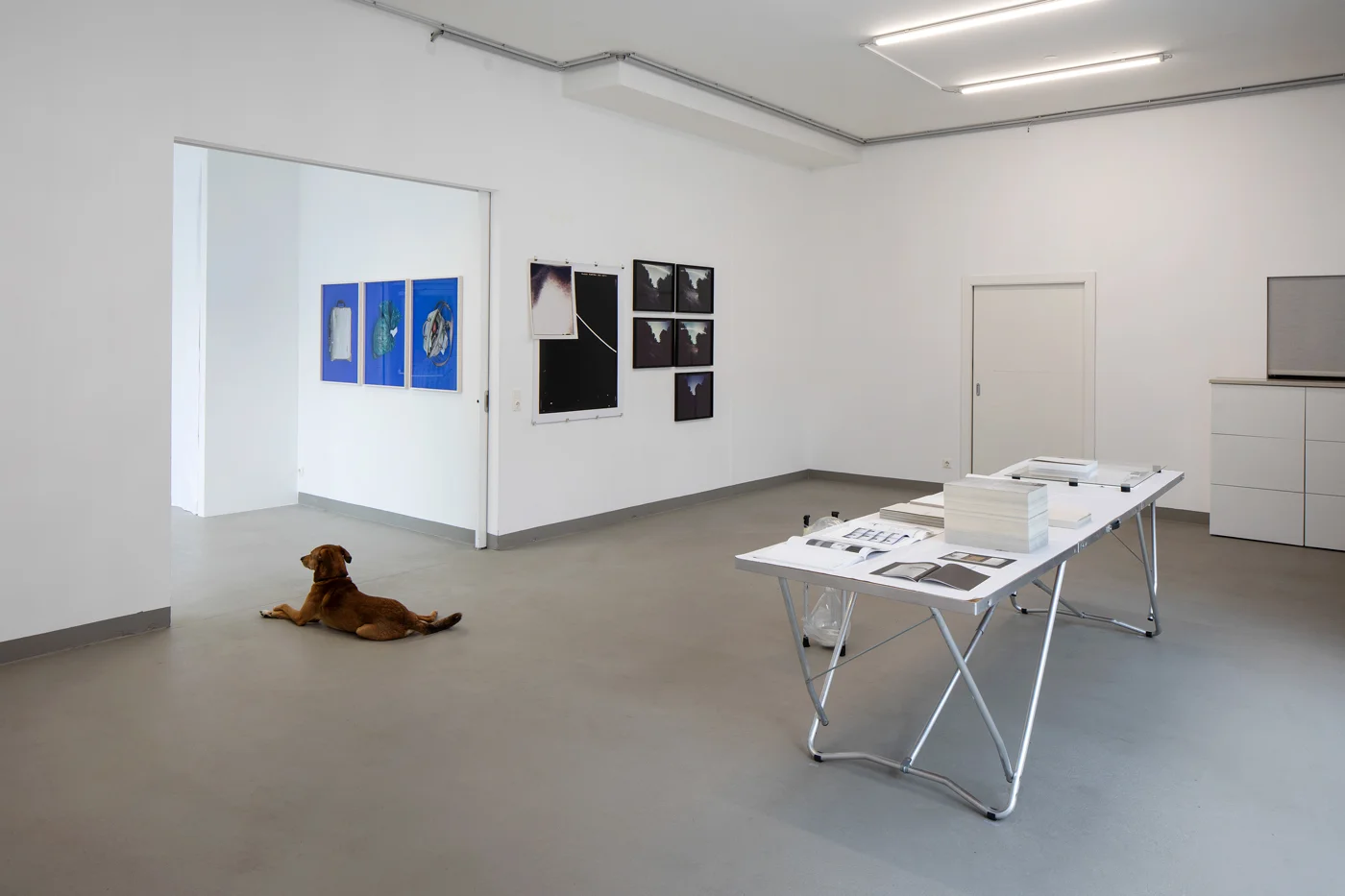 Ausstellungsansicht | Exhibition view