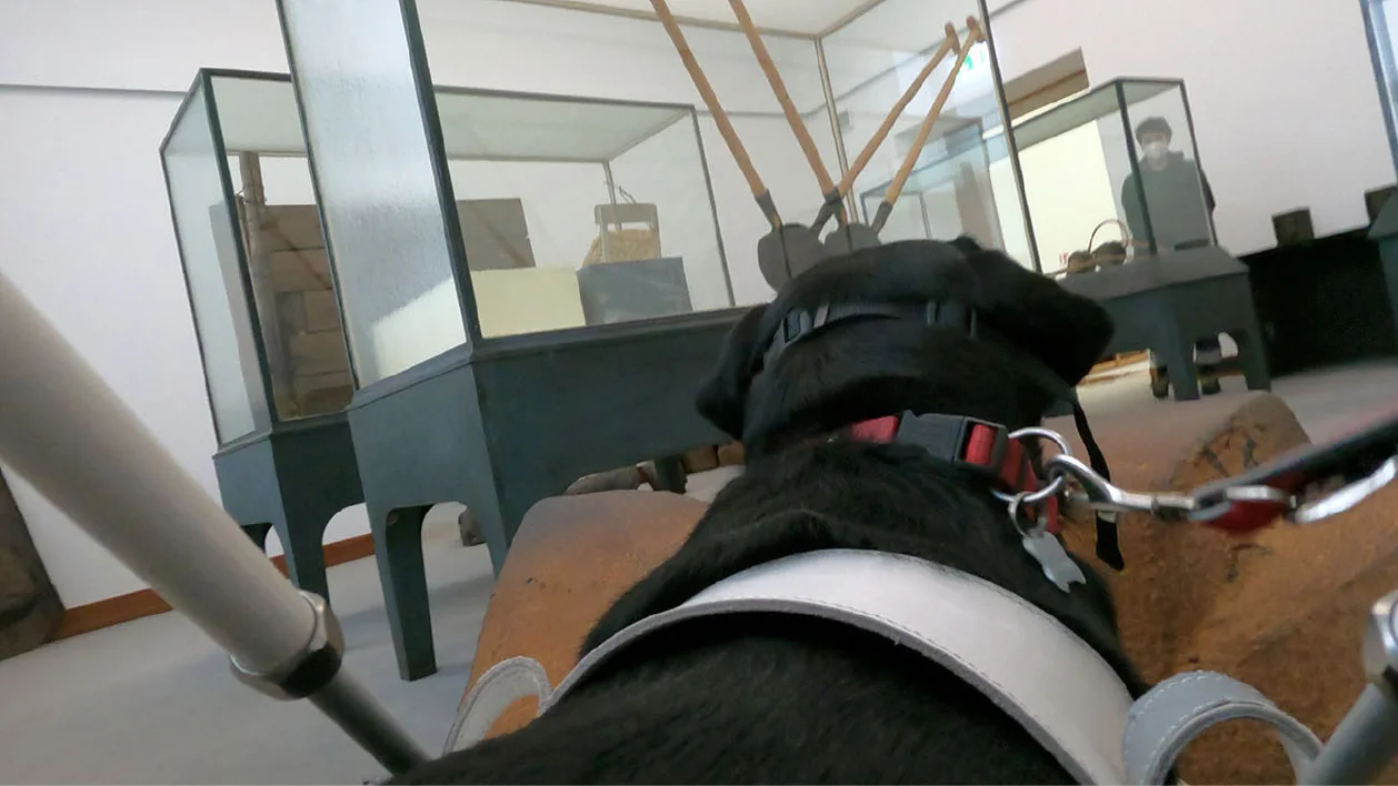 Filmstill, Video Roxy, 2021