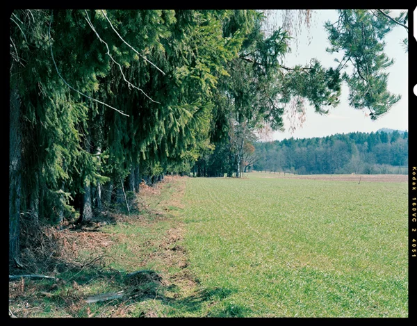 Kontaktabzug | contact print 6